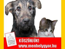 Emberek az Állatokért Alapítvány (Győri Állatmenhely)